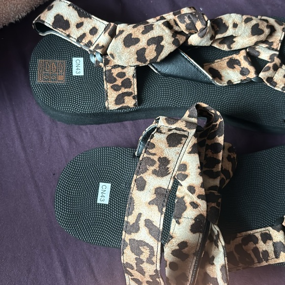 Leopard - Picture 4 of 4